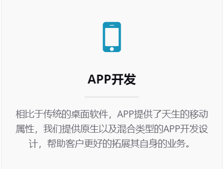 APP开发